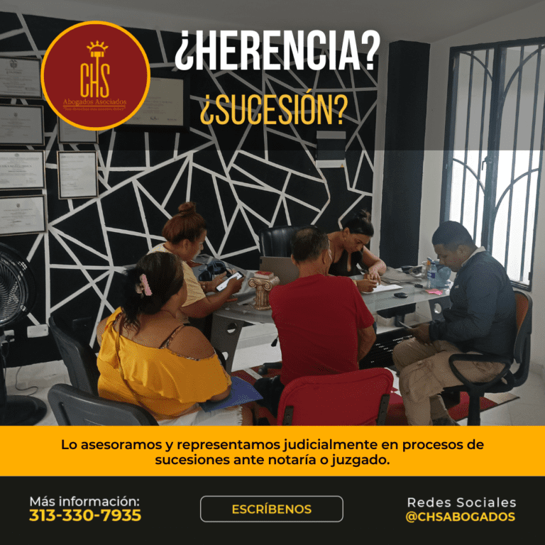 ¿Cómo se dividen los bienes en una sucesión?